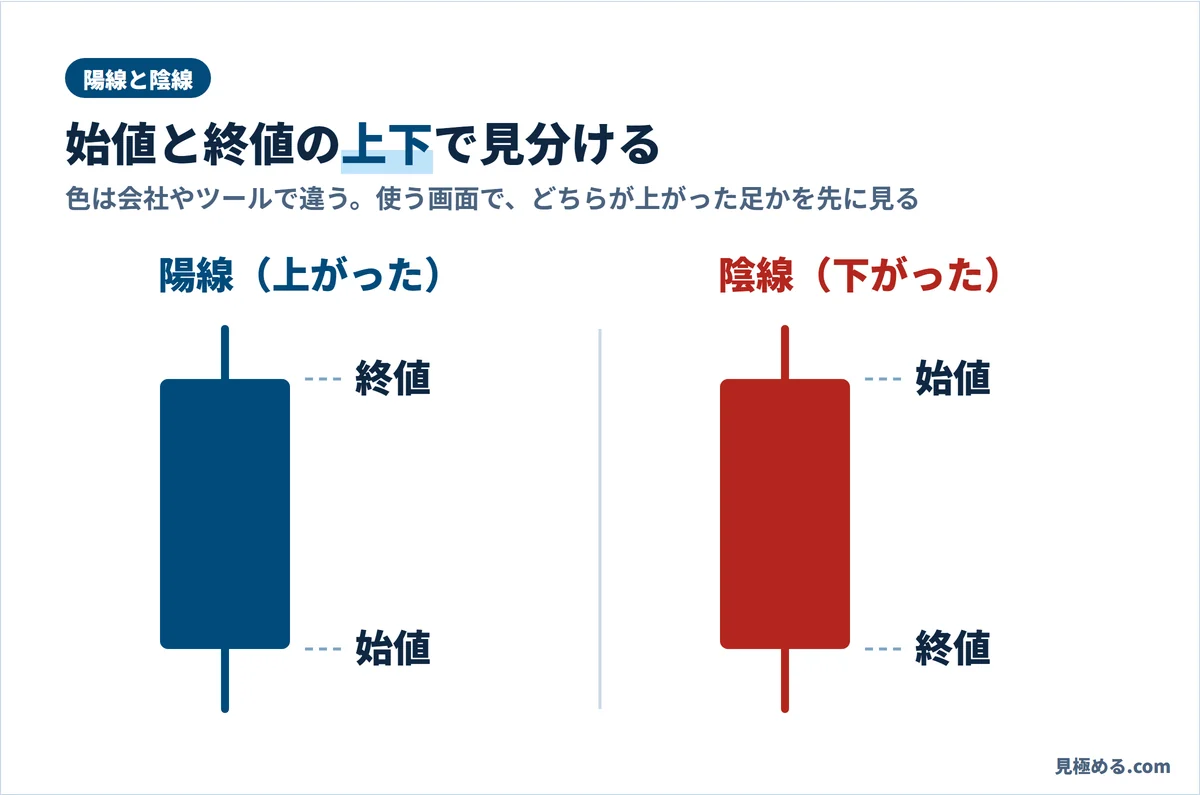 陽線と陰線の違い。陽線は太い部分の下が始値で上が終値、陰線は太い部分の上が始値で下が終値